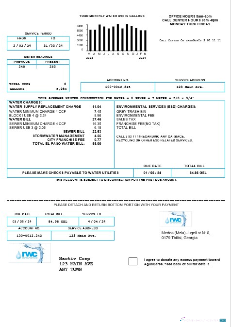 Download Georgia RWC water business bill template in Word and PDF formats1 Photoshop template